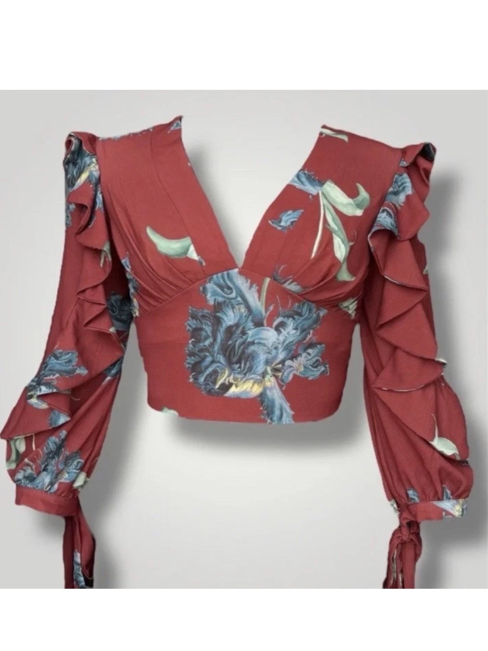 PatBO Rust Floral Ruffle Sleeve Crop Top Sz 4 in Crimson